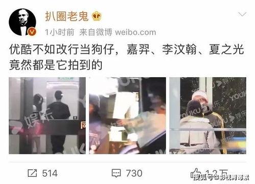 爆料优酷选秀视频在线观看,在线观看热潮背后的故事